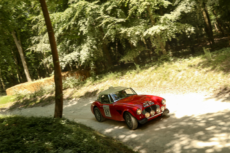 Illustration for article titled Tons Of Classic Rally Cars? Tons Of Classic Rally Cars!